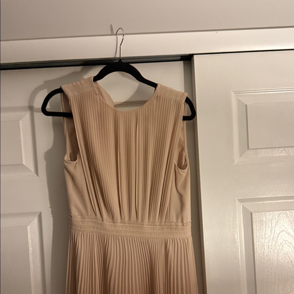 Reiss Blush Midi Dress - Picture 5 of 5